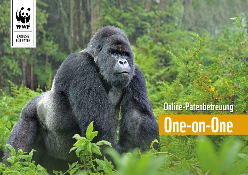 WWF One-on-One